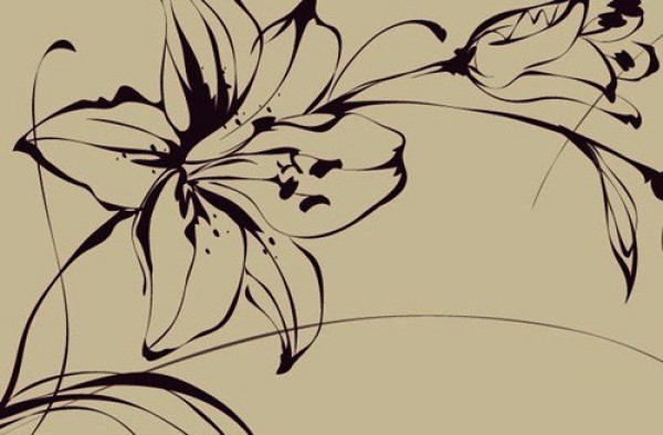 2016 Beautiful Lily Flower Simple Drawing Picture