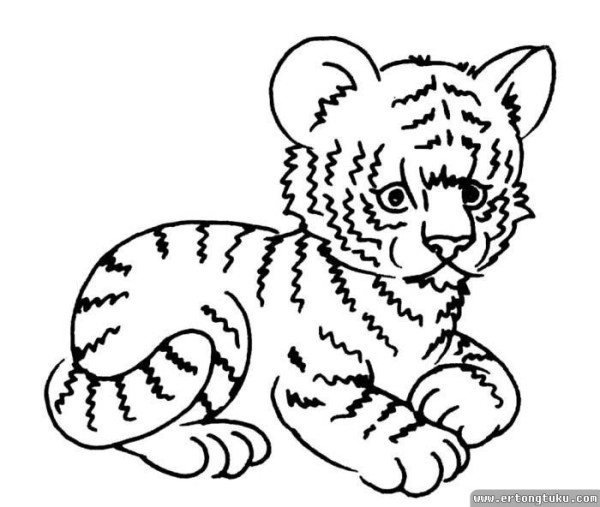 Appreciation of simple drawings of cute little tiger cubs