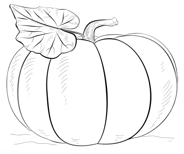 beautiful pumpkin