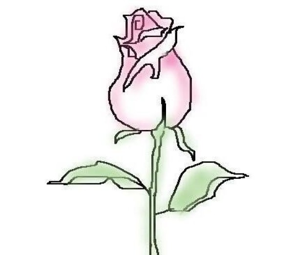 How to draw simple roses for children