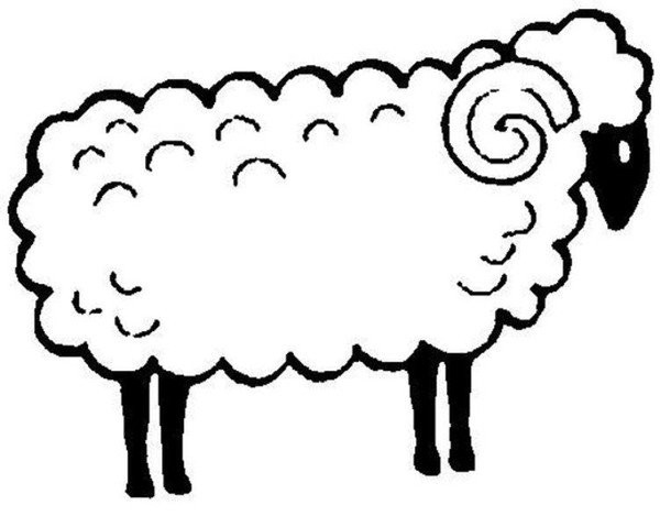 Sheep simple drawing pictures