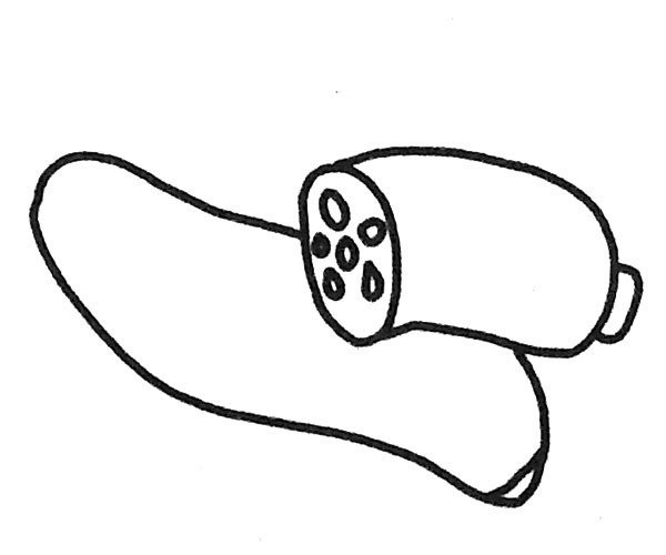 6 simple drawing pictures of lotus root