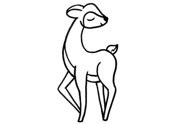 Learn to draw sika deer together