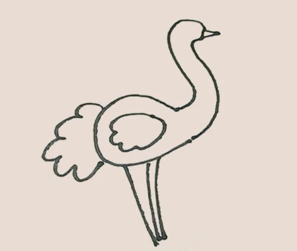 How to draw an ostrich in simple strokes