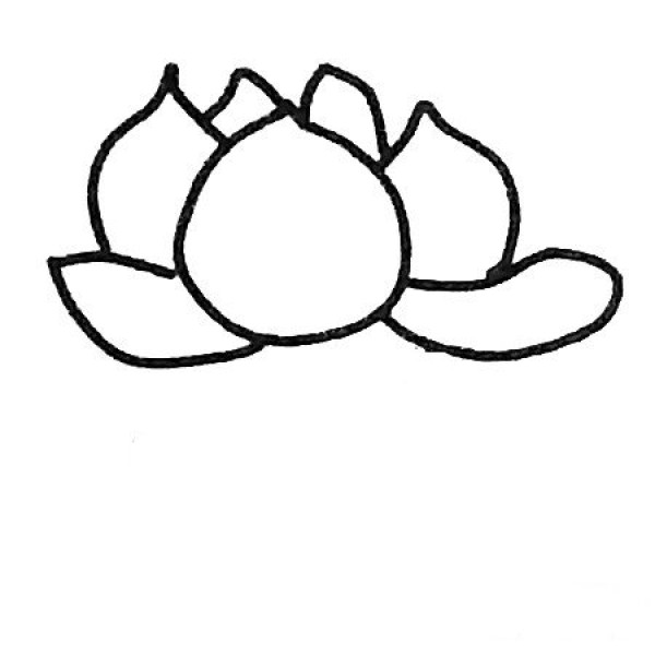 Lotus simple drawing tutorial, lotus picture collection