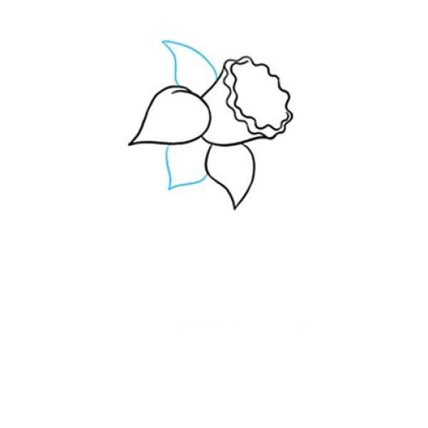 Simple drawing of narcissus that is easy to learn