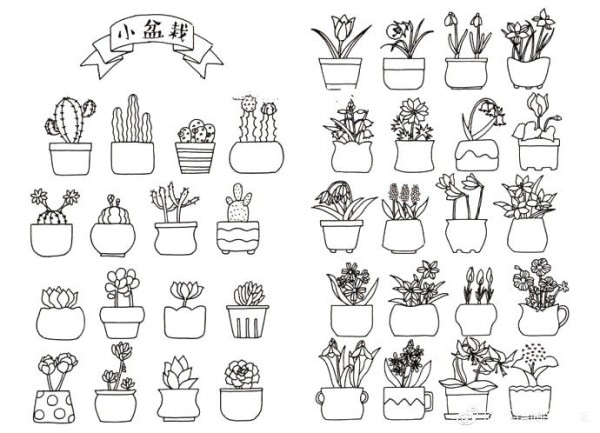 Small potted plant black and white handbook material