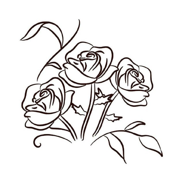 Draw roses for Valentines Day