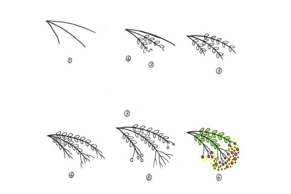 A set of simple drawing methods of beautiful small plants