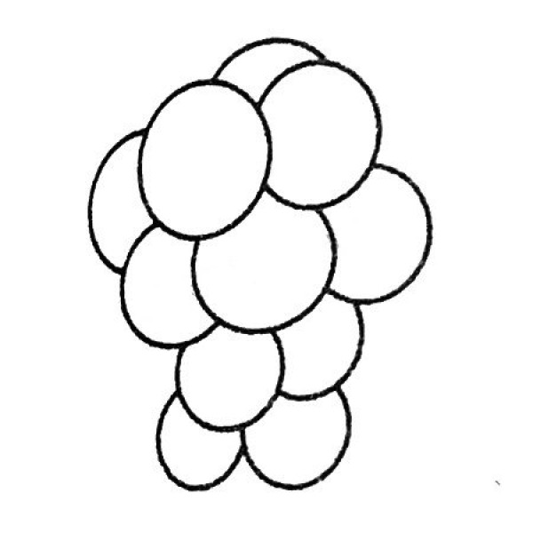 Complete collection of grape simple strokes and drawing steps