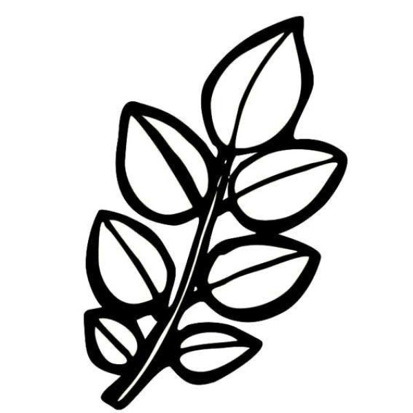 Simple drawings of leaves of various shapes