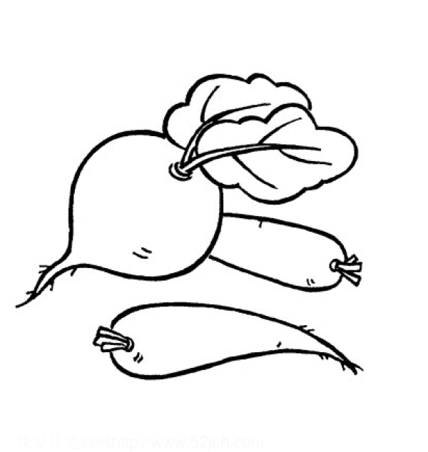 Cartoon simple drawing of radish