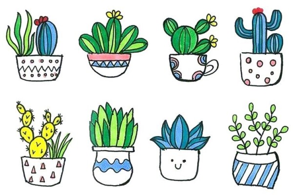 Hand drawn simple drawing of small potted plants