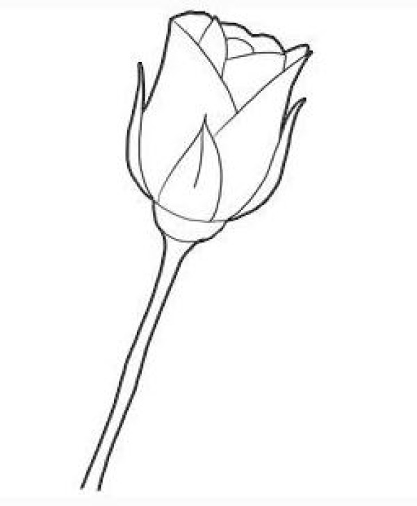 Simple drawing of hand-painted roses. How to draw simple roses.