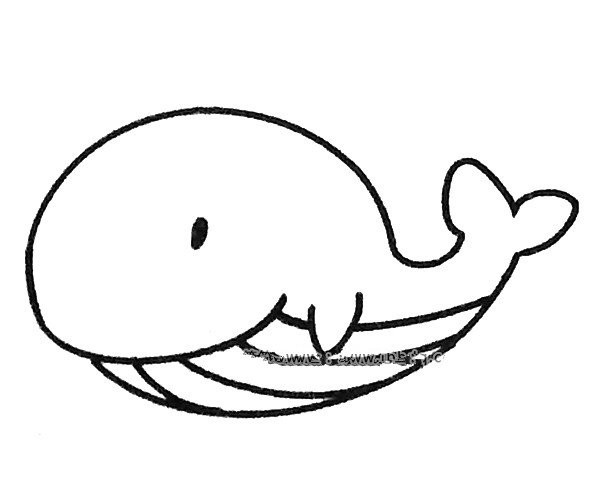 Draw a cute whale in four steps