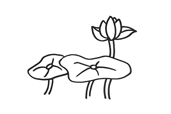 How to draw lotus in simple strokes