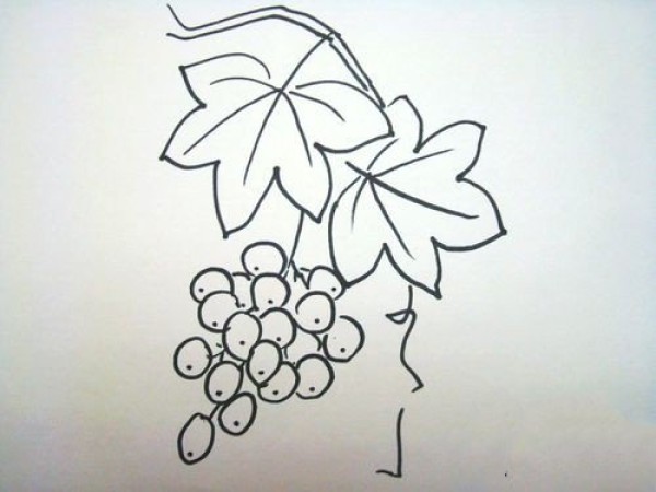 How to draw grapes in simple strokes