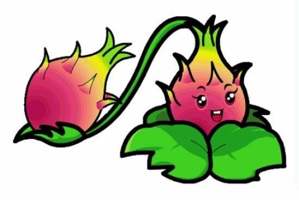 Childrens simple drawing pictures of dragon fruit with color