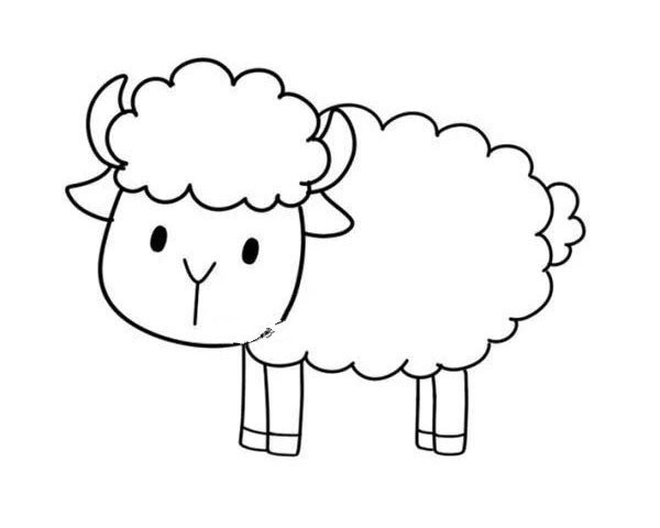 Step-by-step illustrated tutorial on how to draw a cute sheep