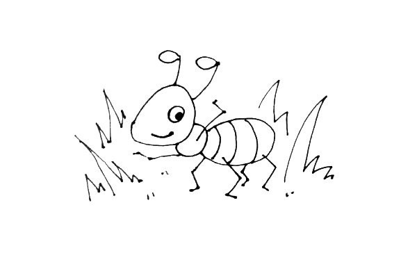 How to draw a little ant