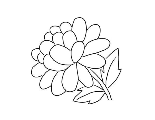 Simple drawing pictures of marigolds