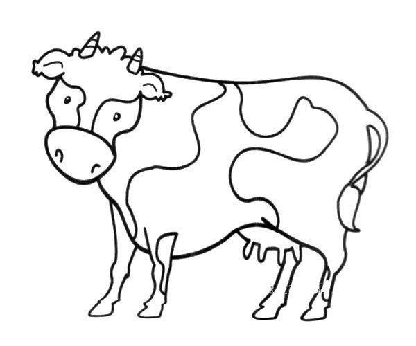 Simple drawing pictures of cows