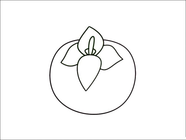 How to draw mangosteen