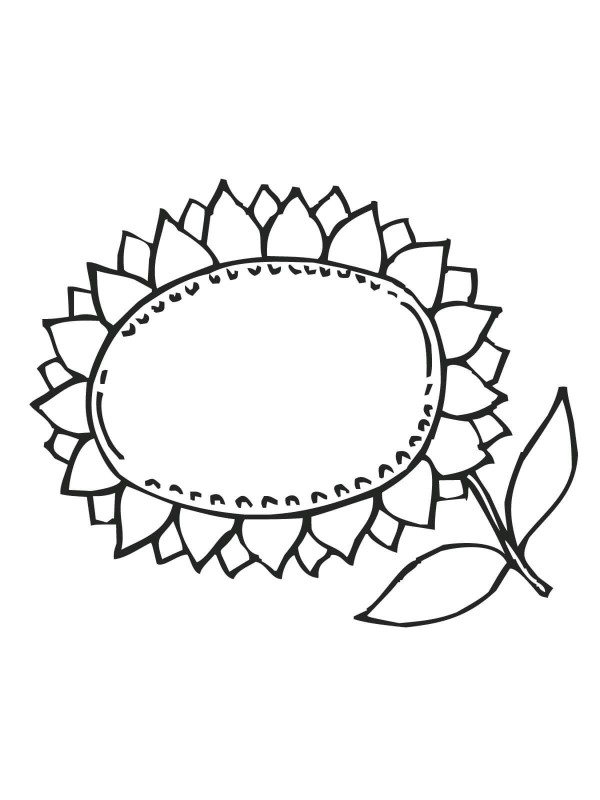 Simple drawing method of sunflower