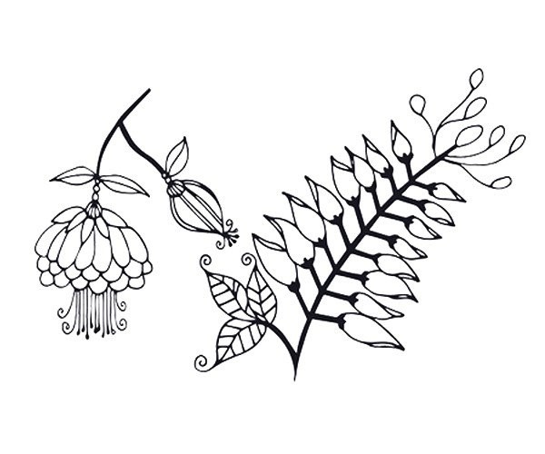 Eight beautiful simple drawing pictures of flowers in black and white style