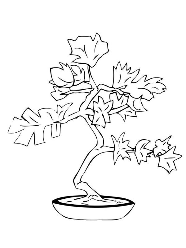 How to draw potted plants