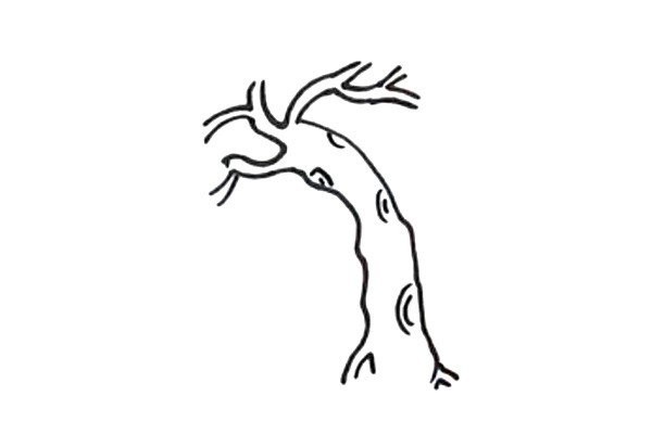 How to draw a willow tree in simple strokes