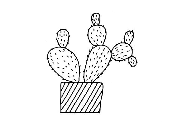 Simple and cute cactus