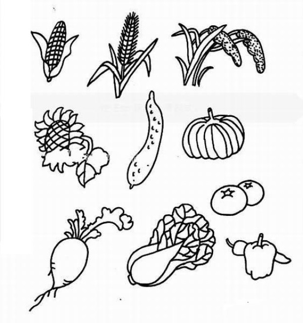 Simple drawing pictures of crops