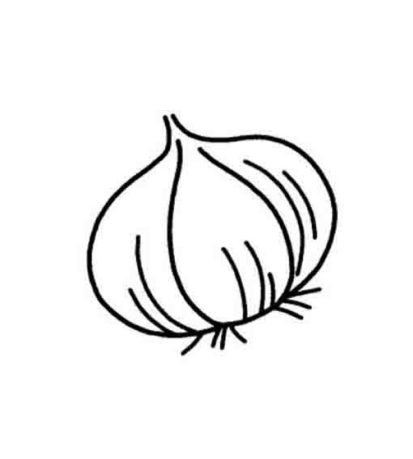 Onion simple strokes