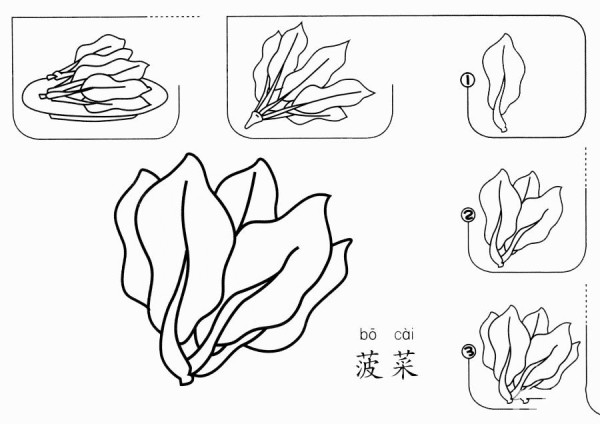 How to draw spinach