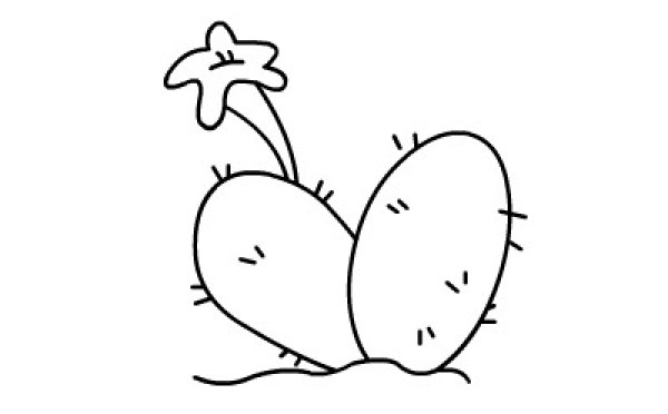 The steps of how to draw a cactus with simple strokes