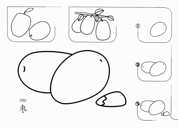 How to draw jujube