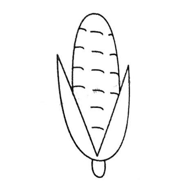 Complete collection of corn simple strokes and drawing steps