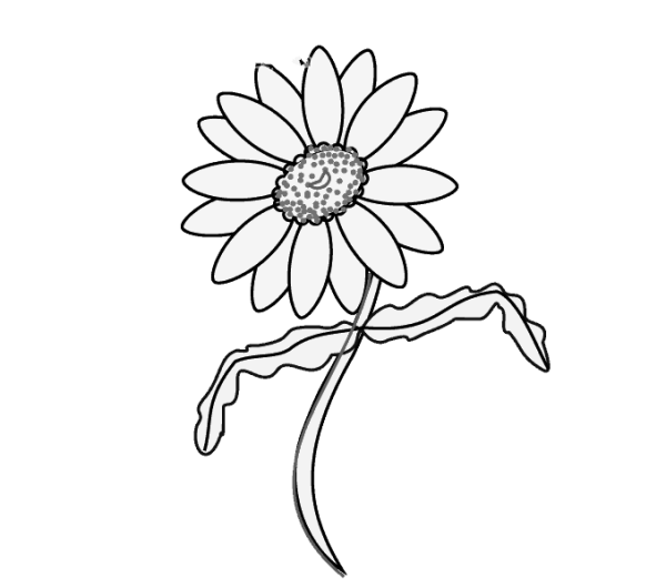 How to draw a daisy