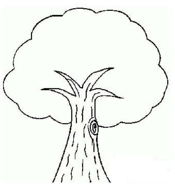 Simple tree drawing picture