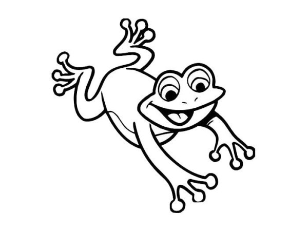 Simple drawing of frog