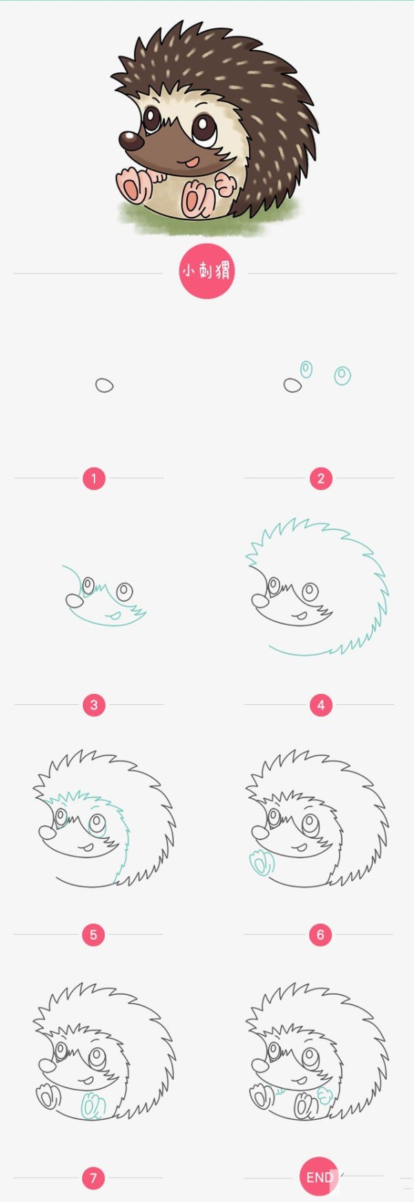 How to draw a cute little hedgehog