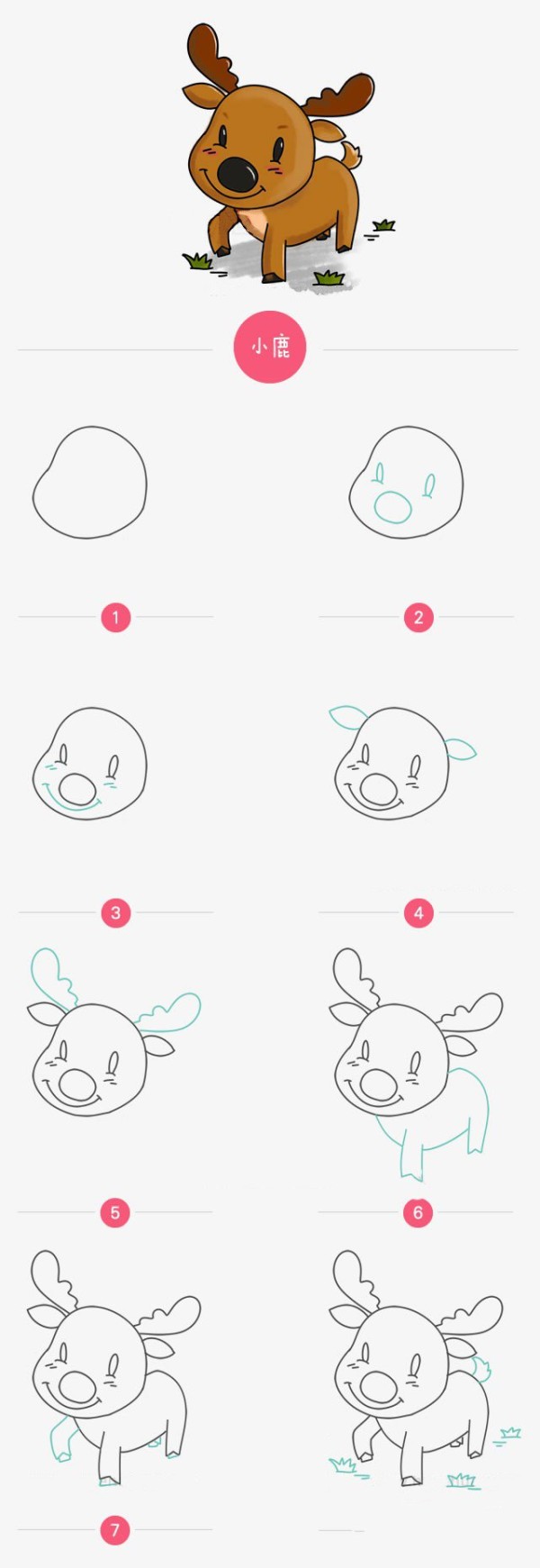 Cute deer drawing steps