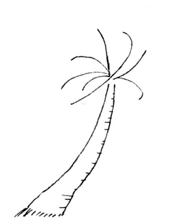 Simple coconut tree drawing tutorial