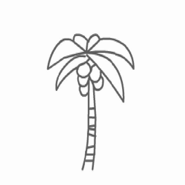 Primary school student coconut tree simple drawing design material