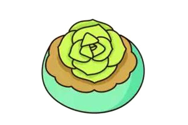 Beautiful succulents simple drawing 7