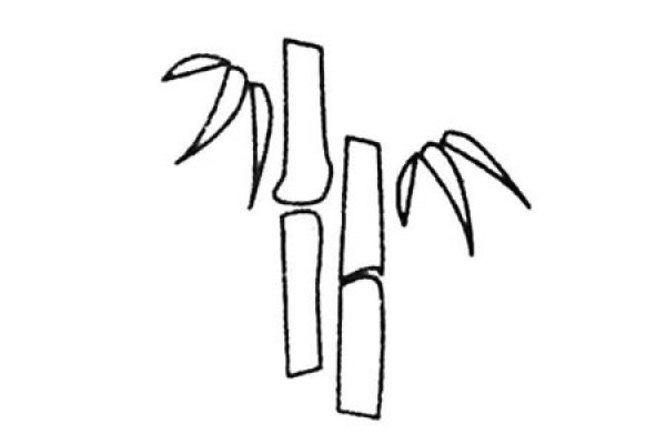 Complete collection of bamboo simple drawings and drawing steps