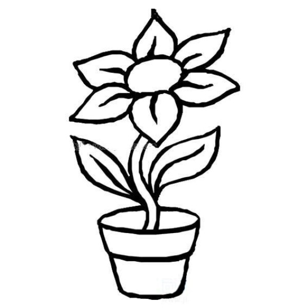 Simple drawing of a flower in a flowerpot