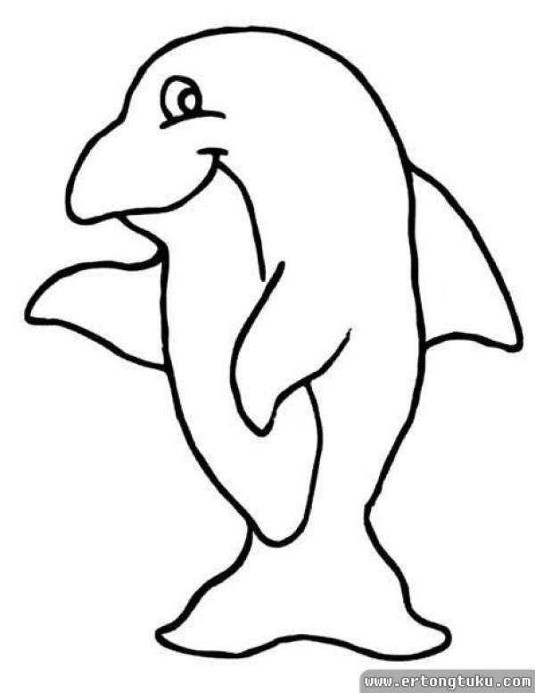 Little dolphin simple strokes material