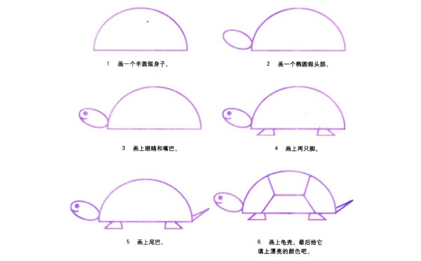 Tutorial on step-by-step drawing of cartoon turtle in simple strokes